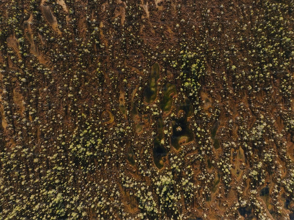 an aerial view of a field with trees and grass