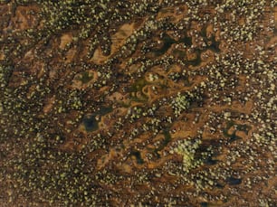 a close up view of a brown and green surface