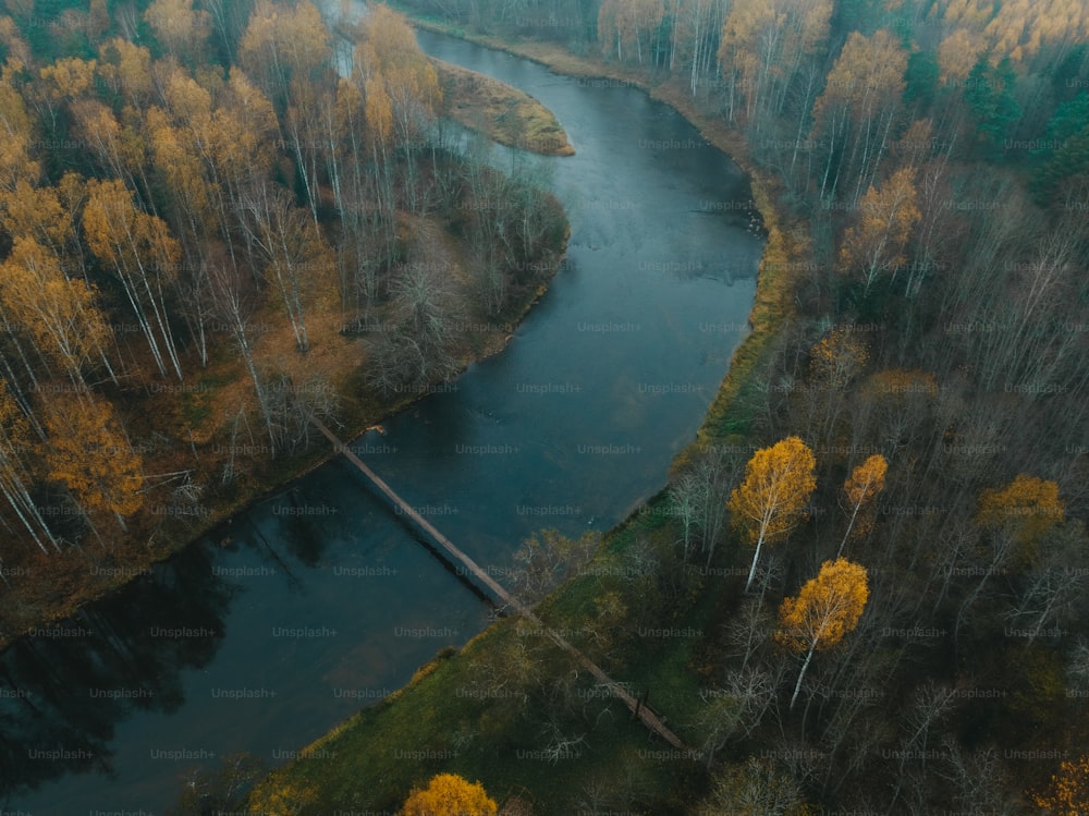 an aerial view of a river surrounded by trees