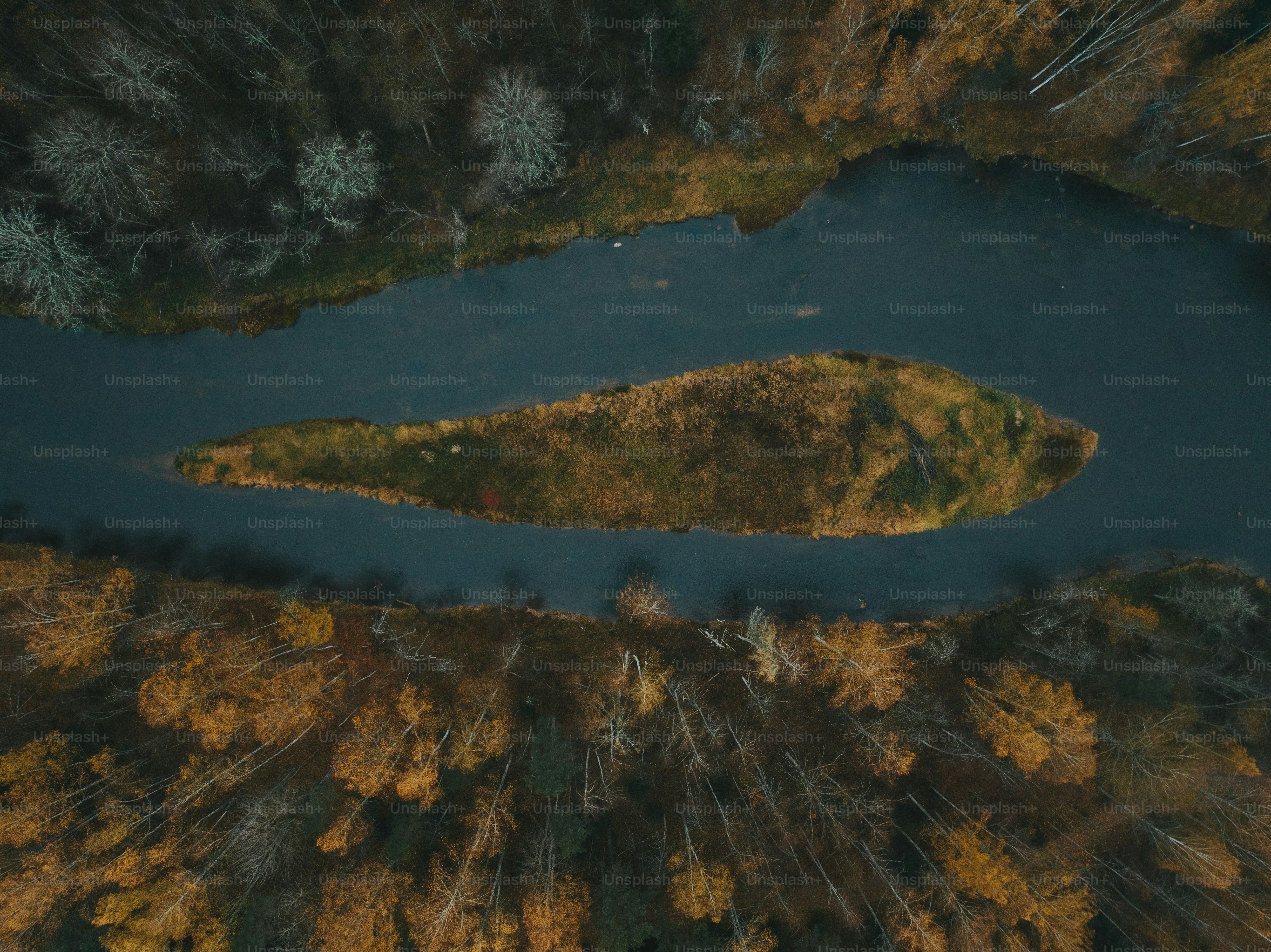 An aerial view of a river surrounded by trees photo – Wallpaper Image ...