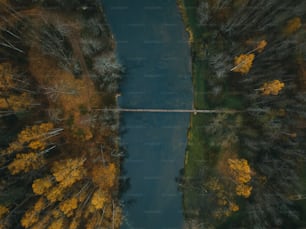 an aerial view of a river surrounded by trees