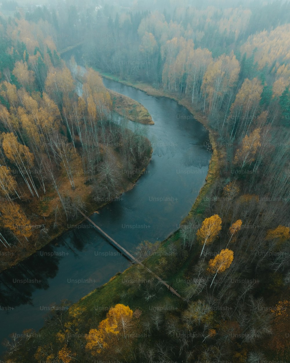 an aerial view of a river surrounded by trees