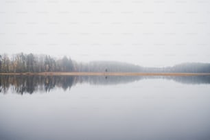 uno specchio d'acqua circondato da alberi e nebbia