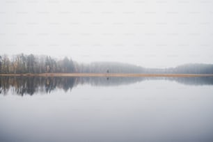 a body of water surrounded by trees and fog