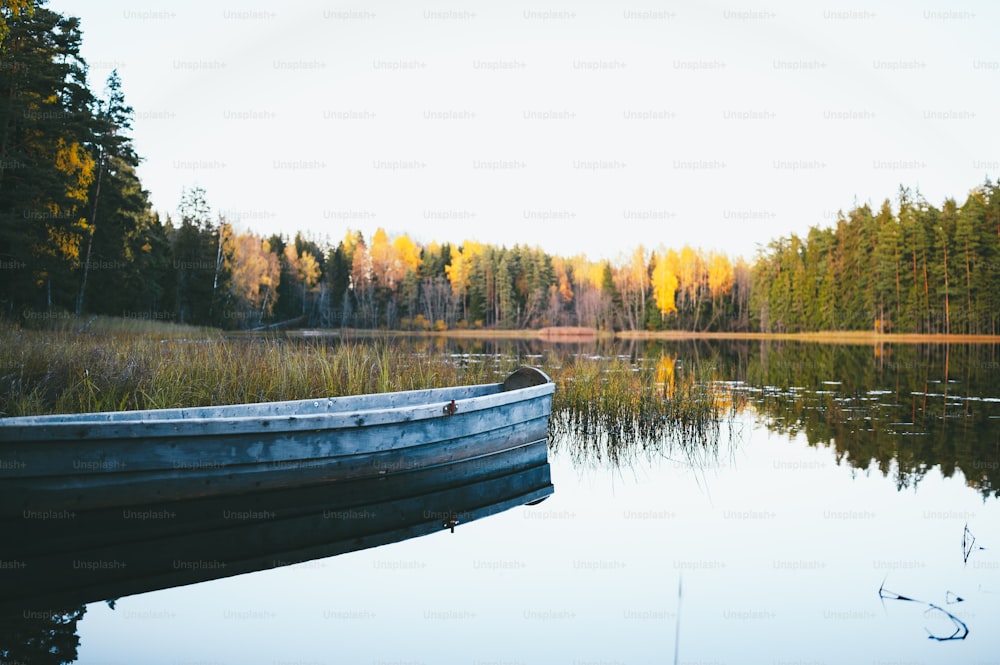 a boat sitting on top of a lake next to a forest