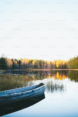 a boat sitting on top of a lake next to a forest