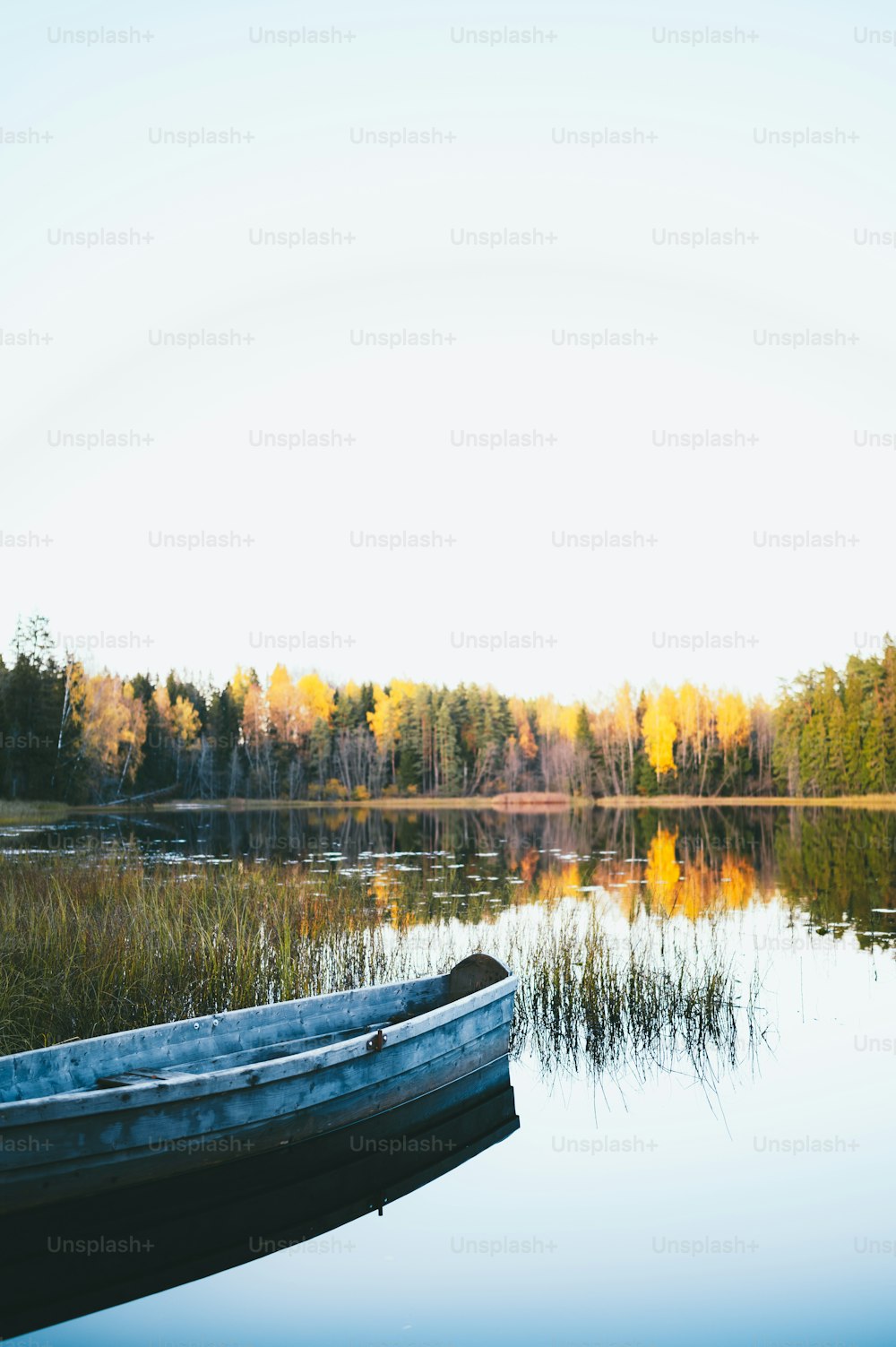 a boat sitting on top of a lake next to a forest