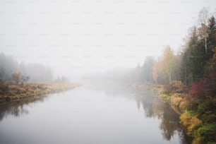 a body of water surrounded by trees and fog