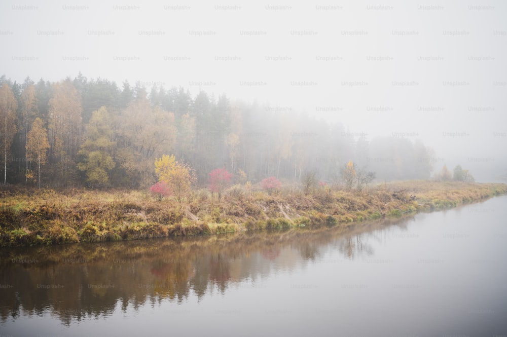 a body of water surrounded by trees in the fog