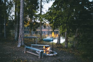 a campfire in the middle of a forest next to a lake