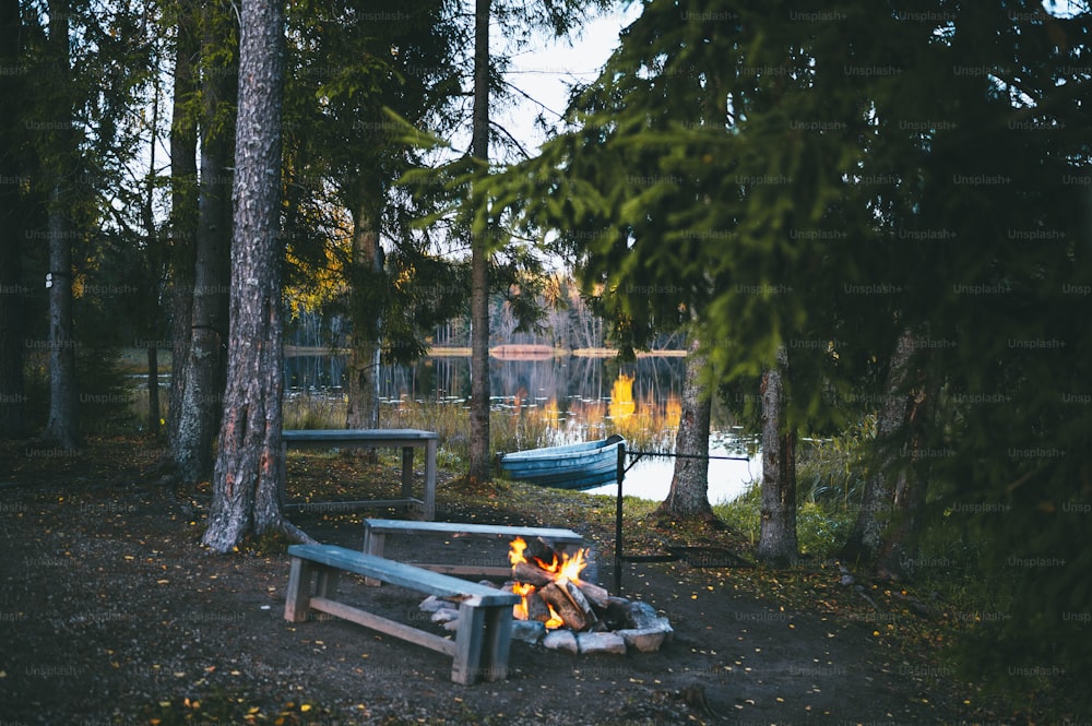 a campfire in the middle of a forest next to a lake