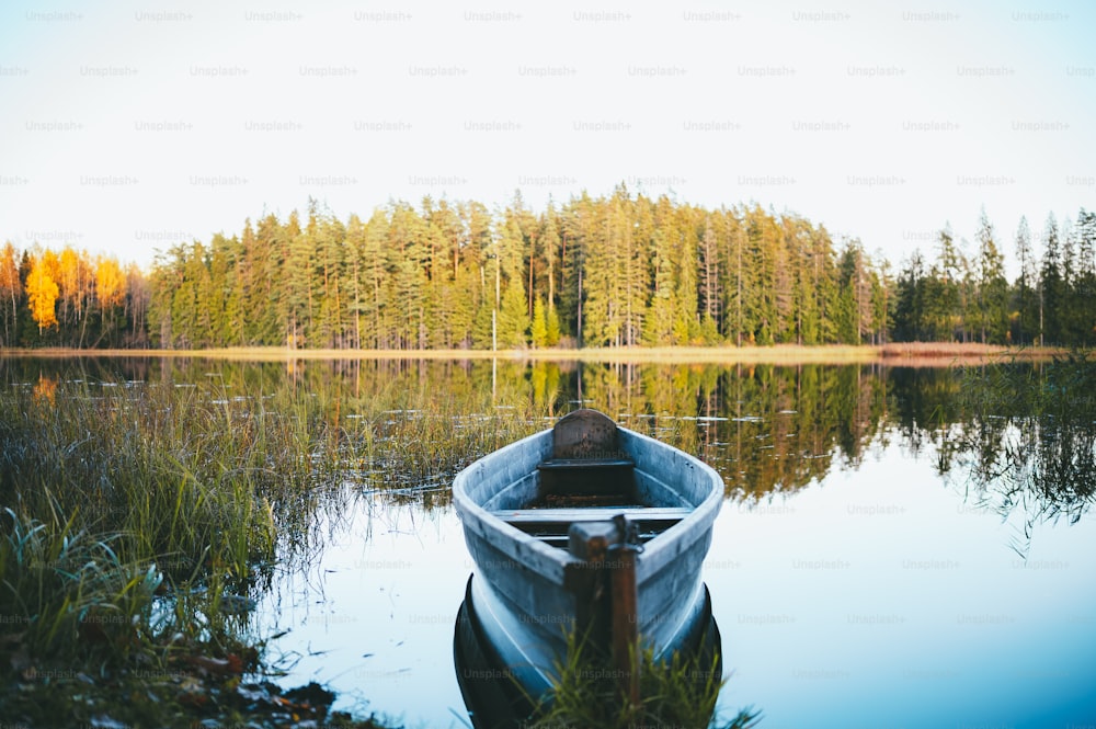 a boat sitting on top of a lake next to a forest