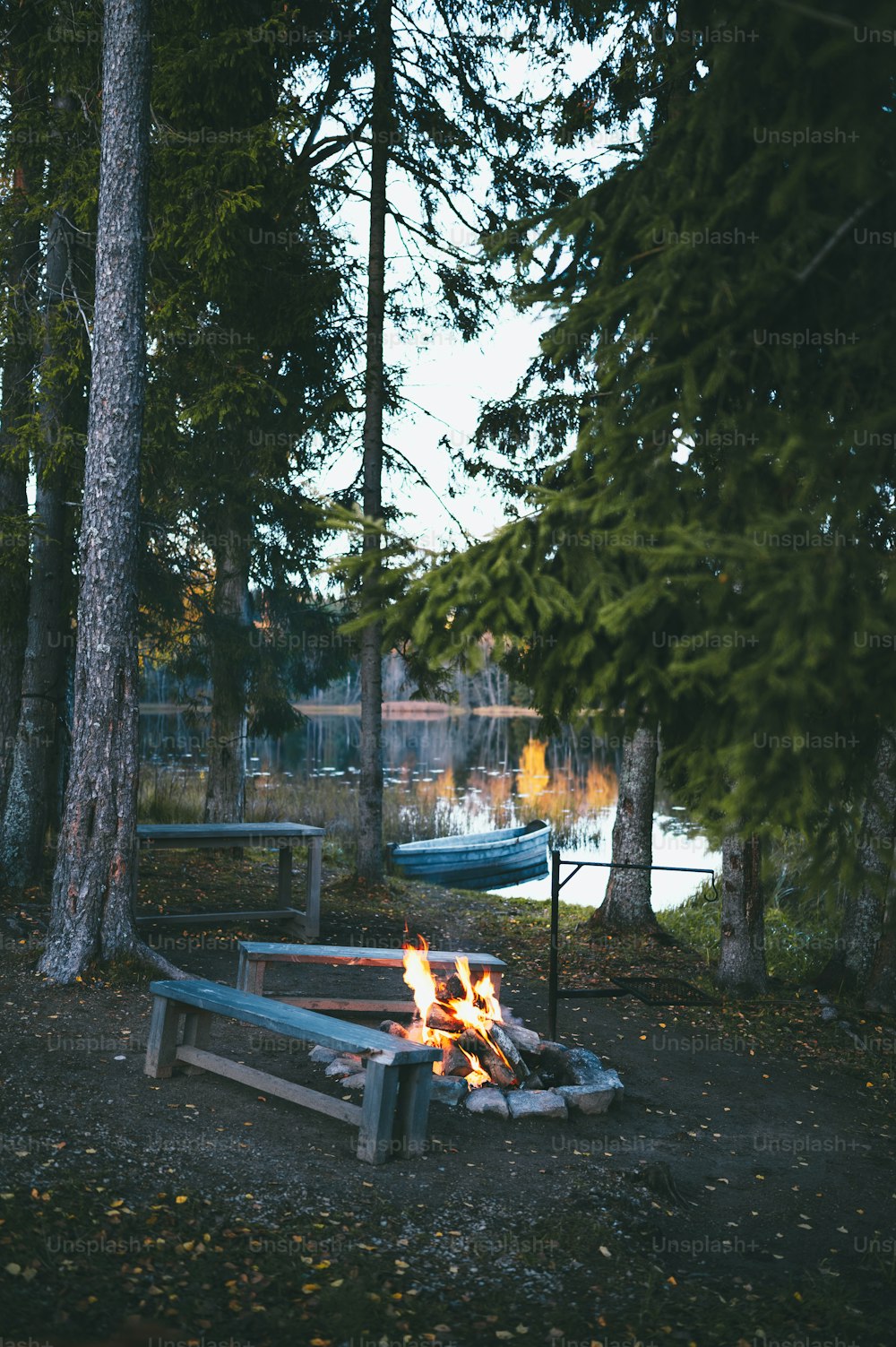 a fire pit in the middle of a forest