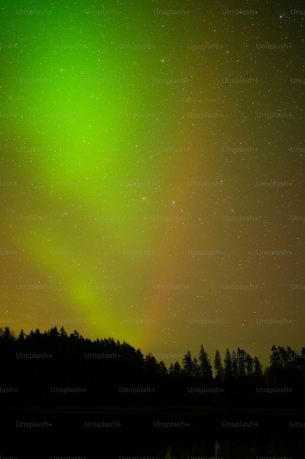 a bright green and yellow aurora over a forest