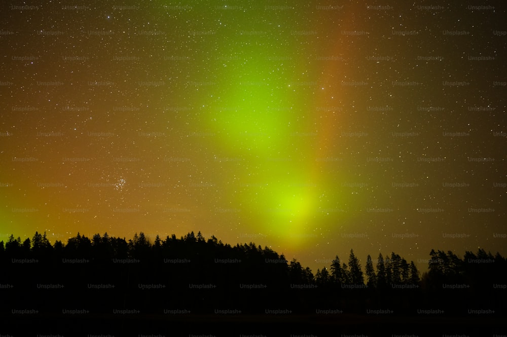 a green and yellow aurora over a forest
