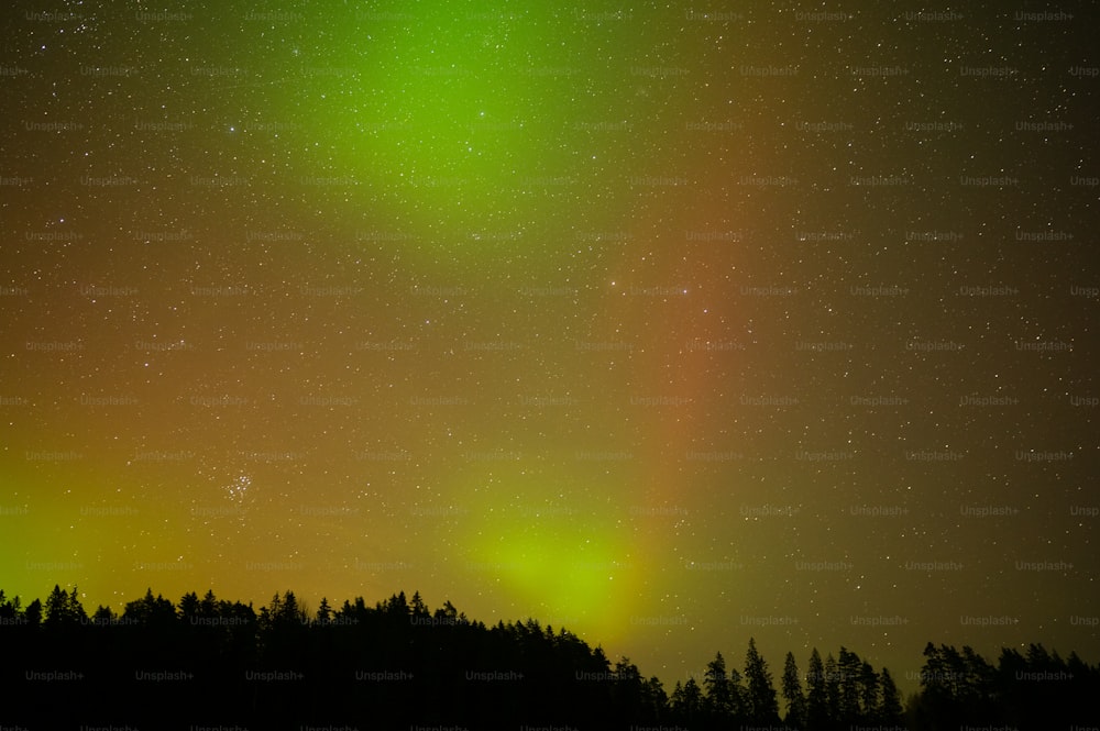 a green and yellow aurora bore in the night sky