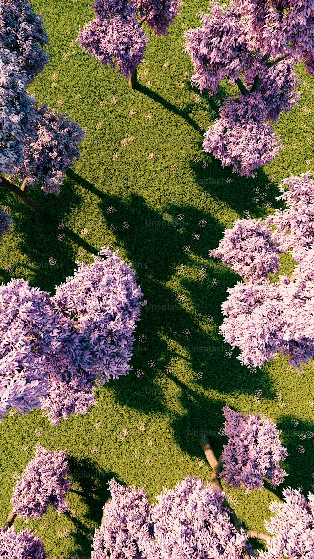 an aerial view of a field with trees in bloom
