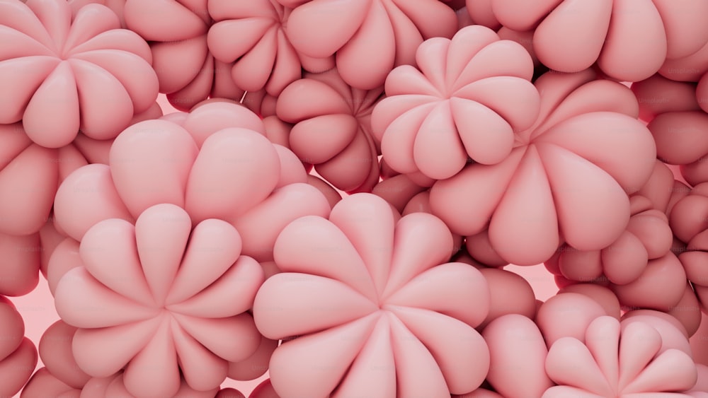 a close up of a bunch of pink flowers