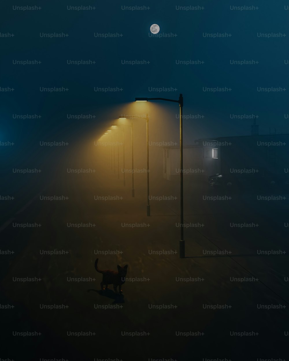 a foggy night with a dog walking down the street