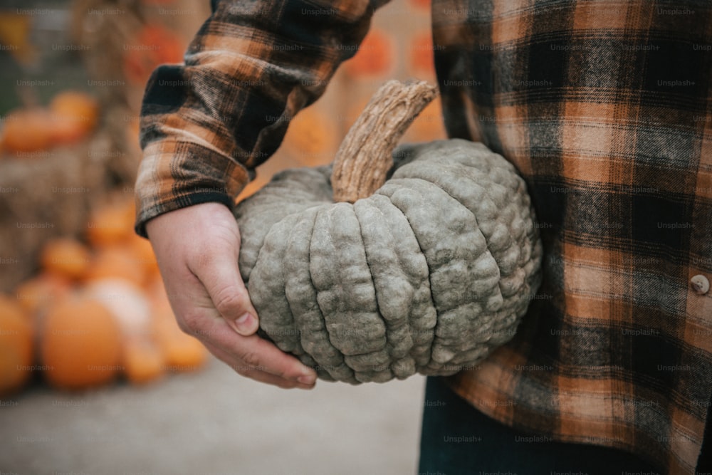 a person holding a pumpkin in their hands