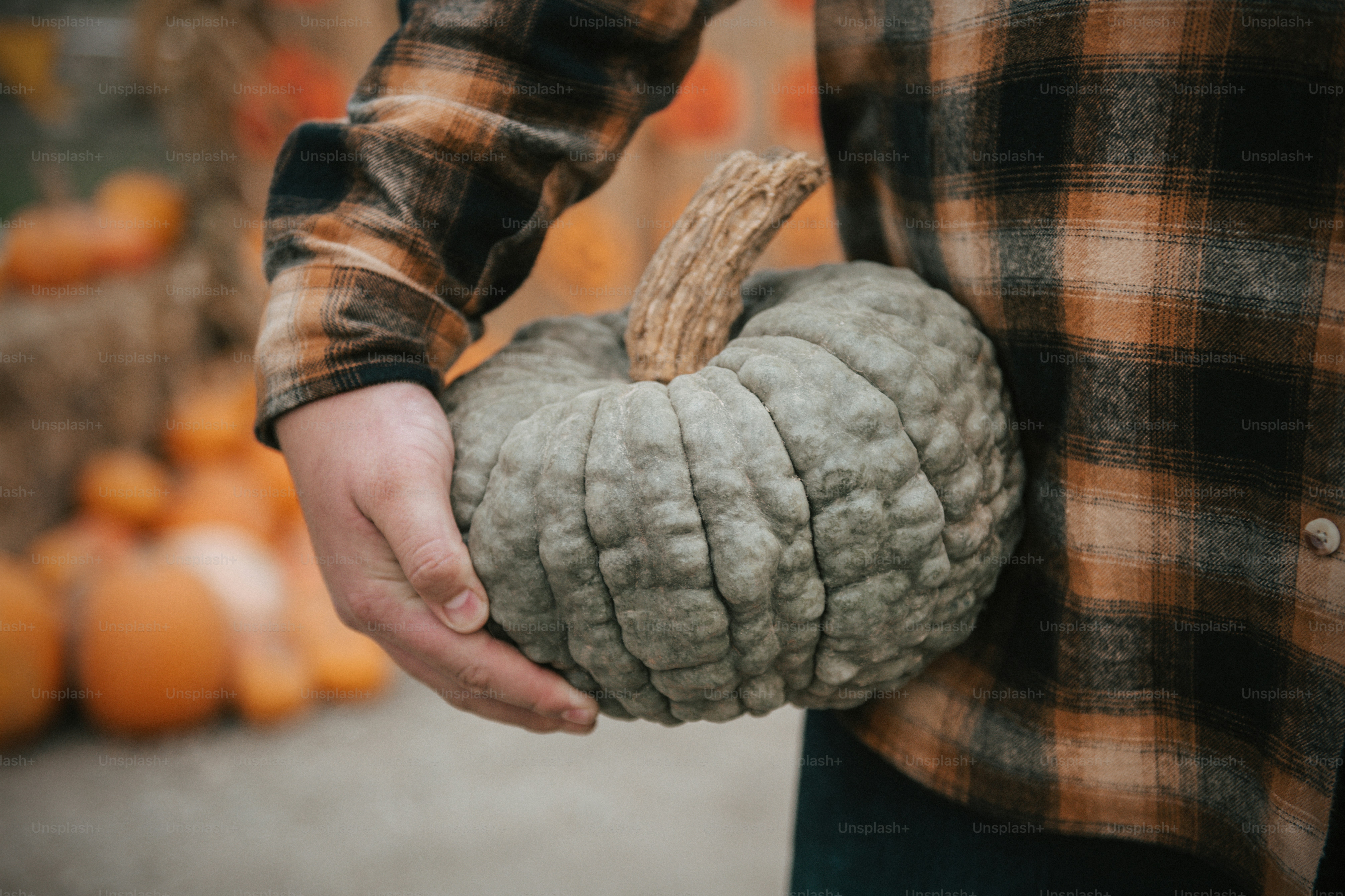 Man holding a gray pumpkin