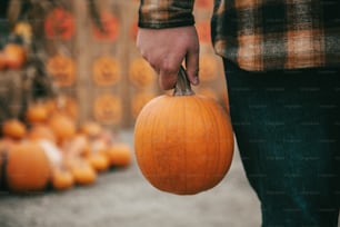 a person holding a pumpkin in their hand