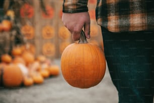 eine Person, die einen Kürbis in der Hand hält