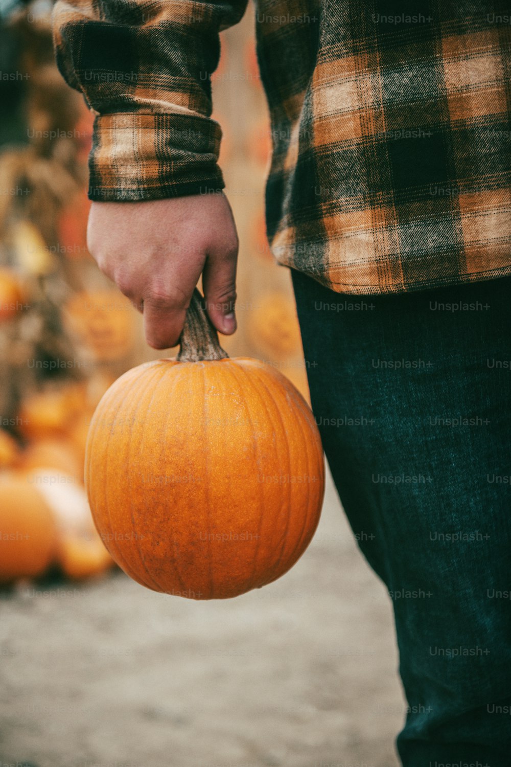 a person holding a pumpkin in their hand