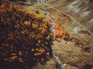 an aerial view of a road winding through a forest