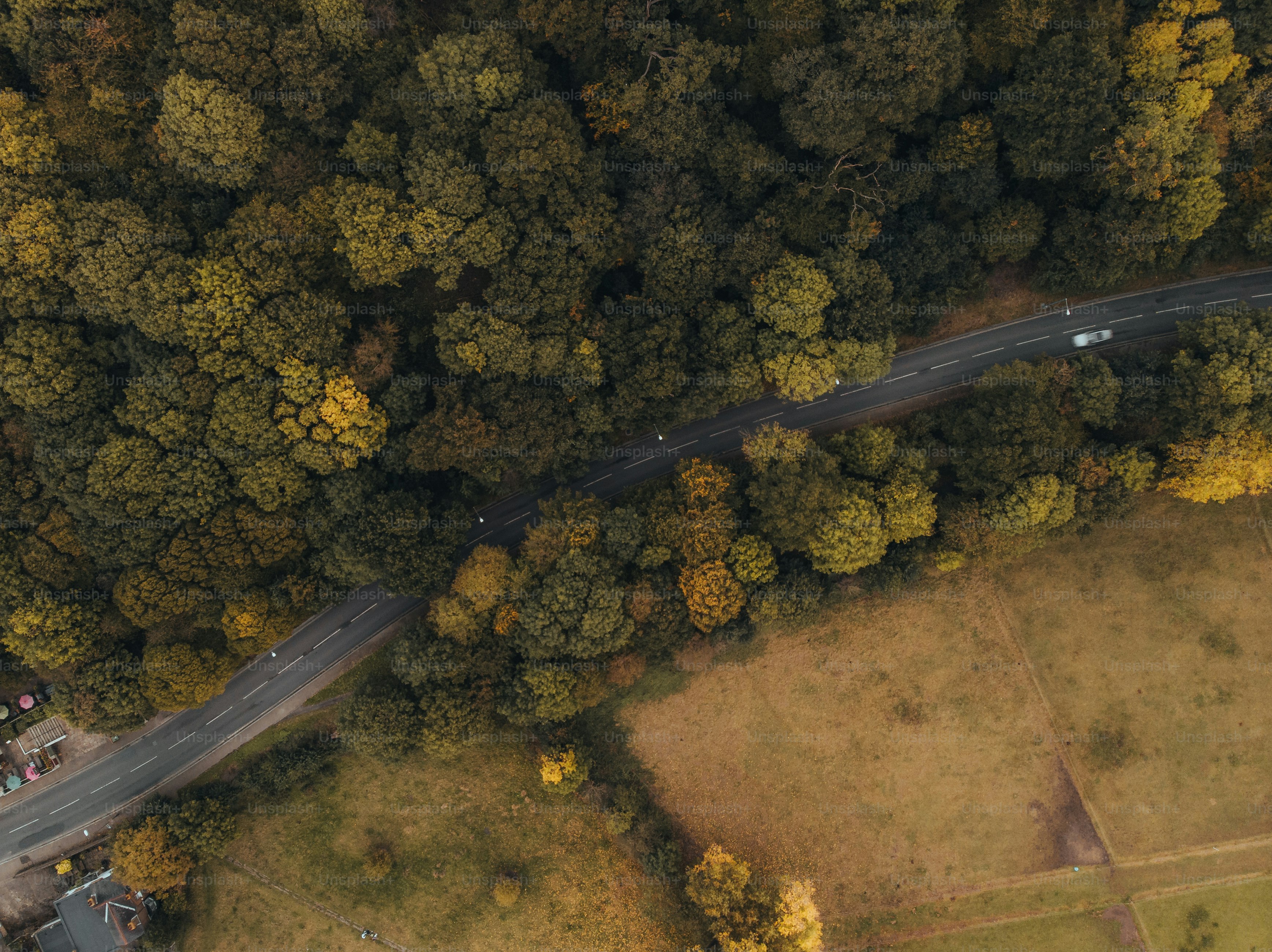 Luftaufnahme einer von Bäumen umgebenen Straße