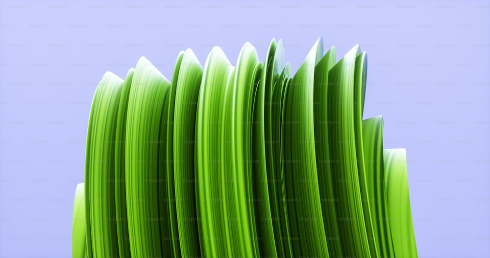 Un gros plan d’un bouquet d’herbe verte