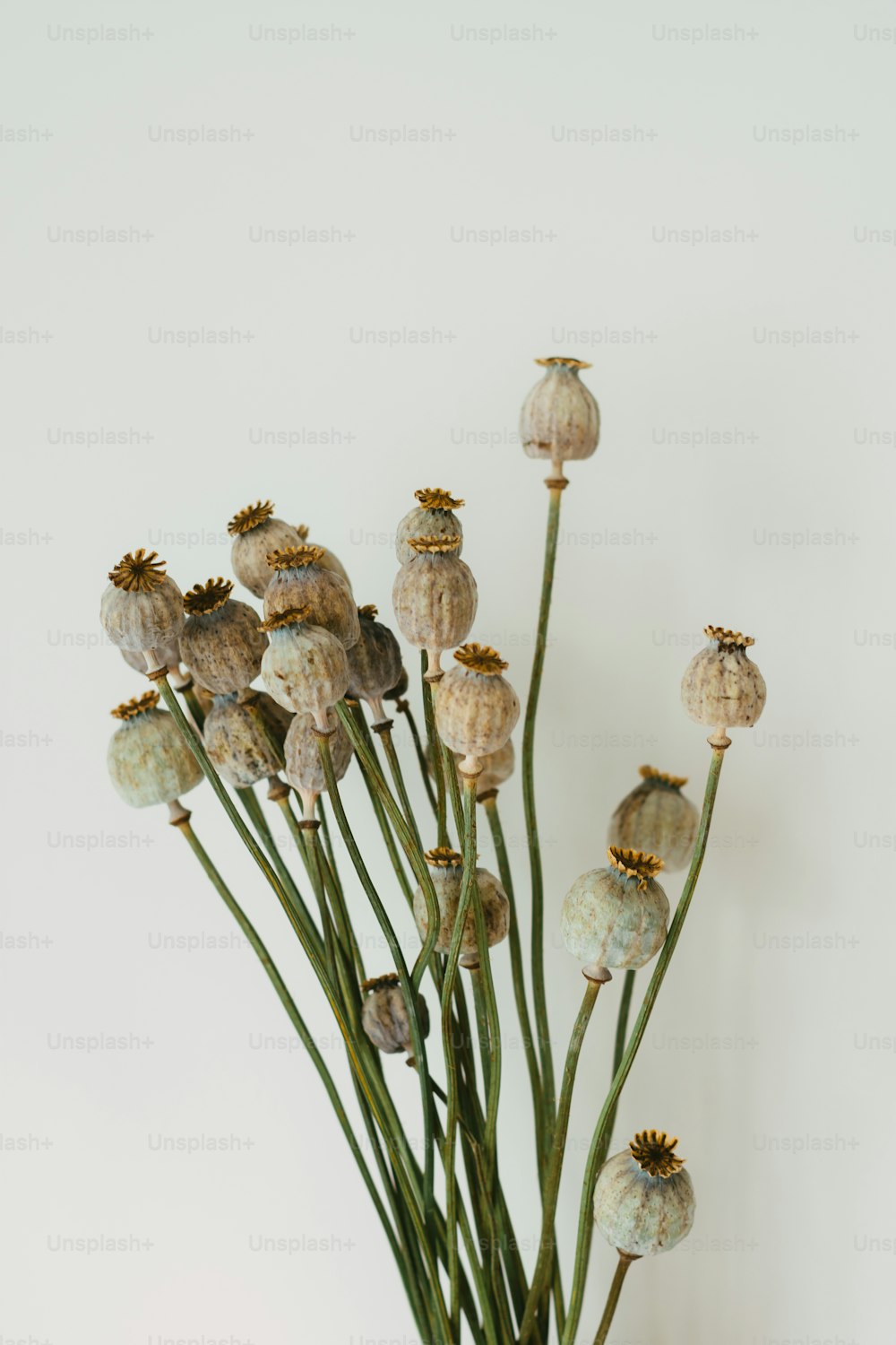 a vase filled with lots of flowers on top of a table