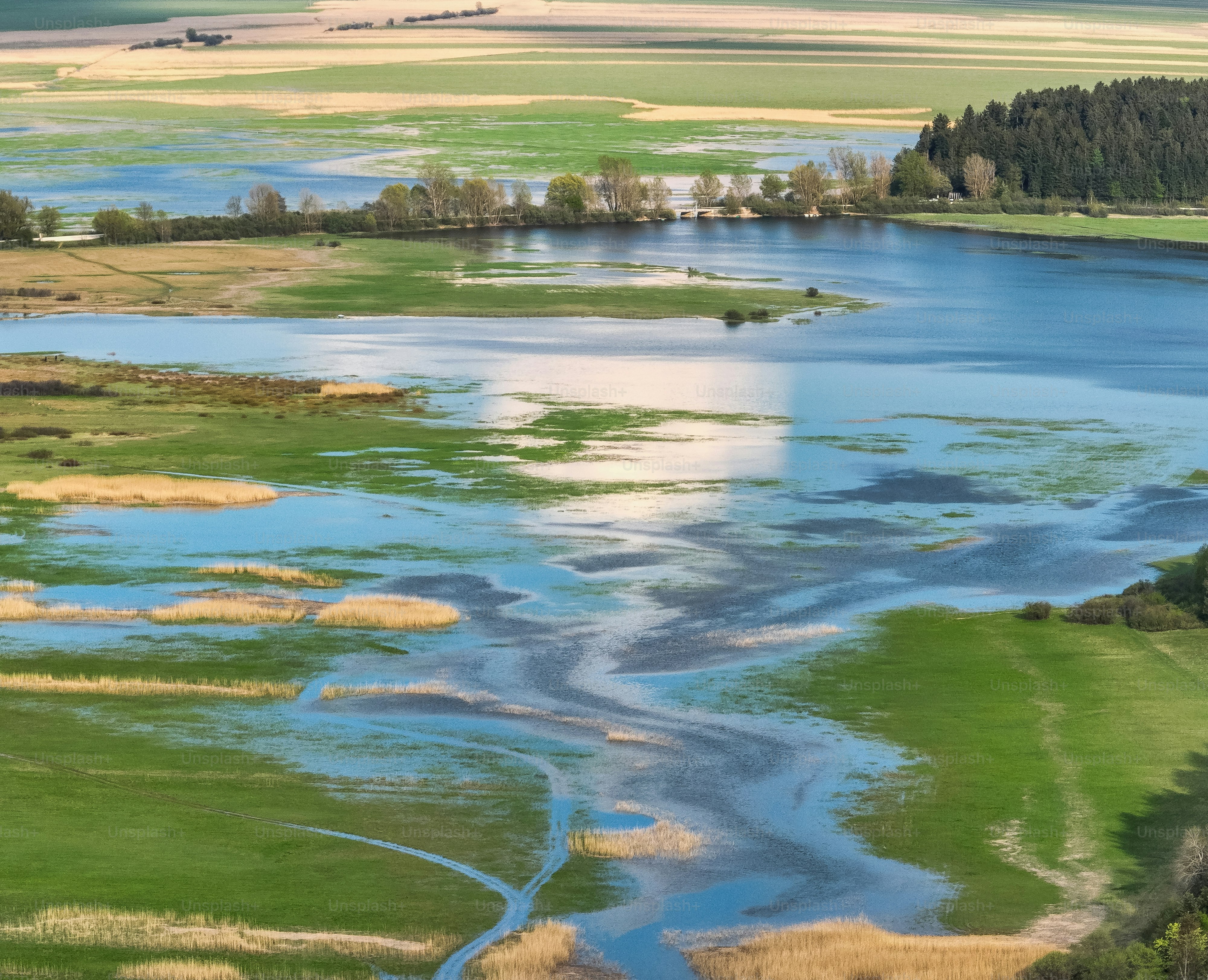 Un fiume che attraversa una campagna lussureggiante