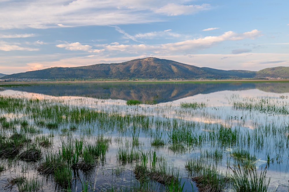 un grande specchio d'acqua circondato da erba