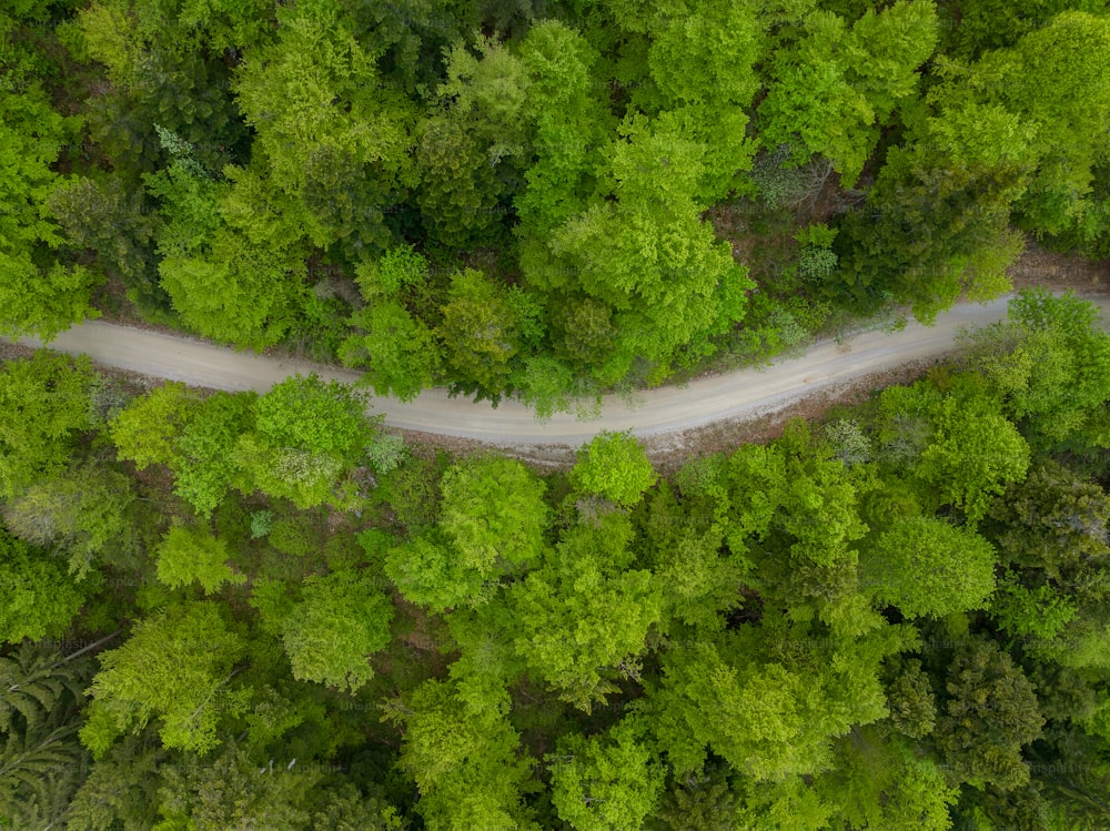 an aerial view of a road in the middle of a forest