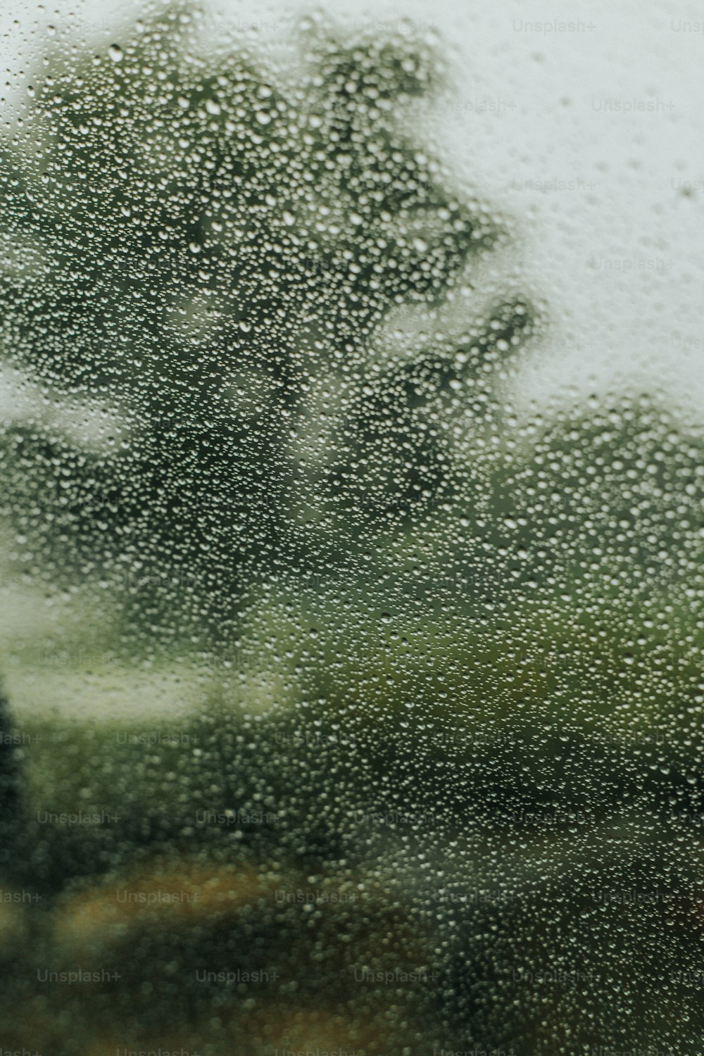 uma vista de uma árvore através de uma janela coberta de chuva