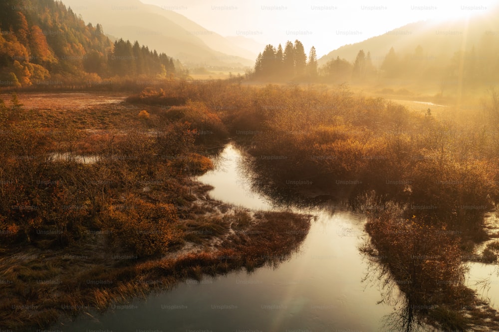 Ein Fluss, der durch einen üppigen grünen Wald fließt