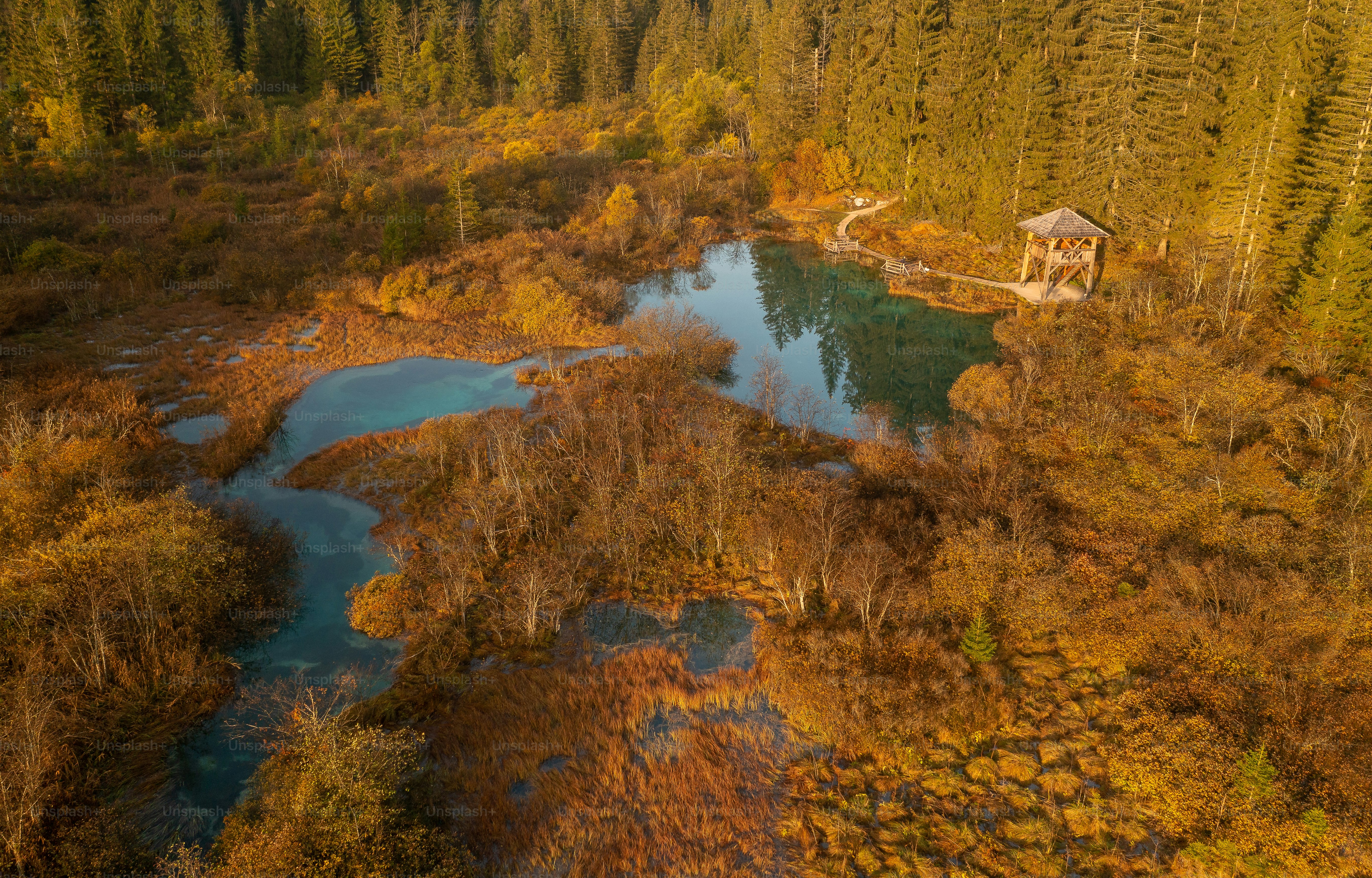 a bird's eye view of a pond surrounded by trees