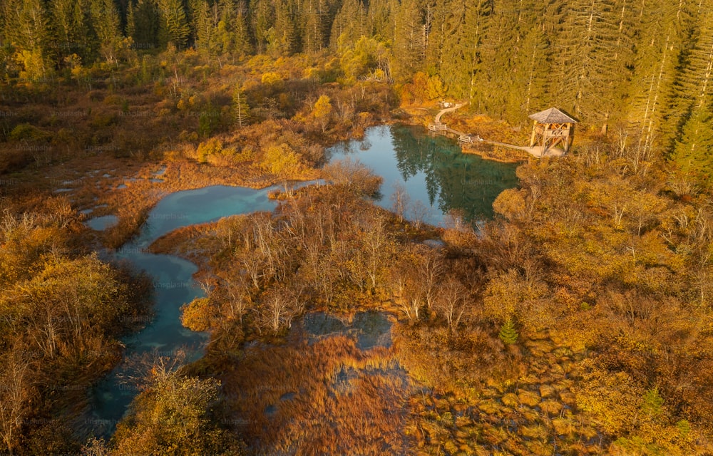 a bird's eye view of a pond surrounded by trees