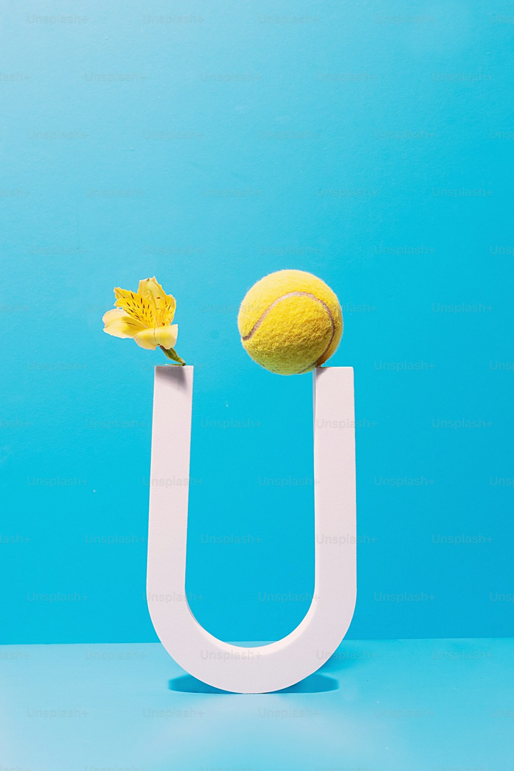 a yellow flower and a tennis ball on a white letter u