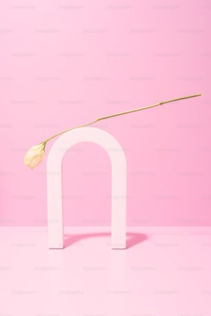 a single flower is placed in a white arch