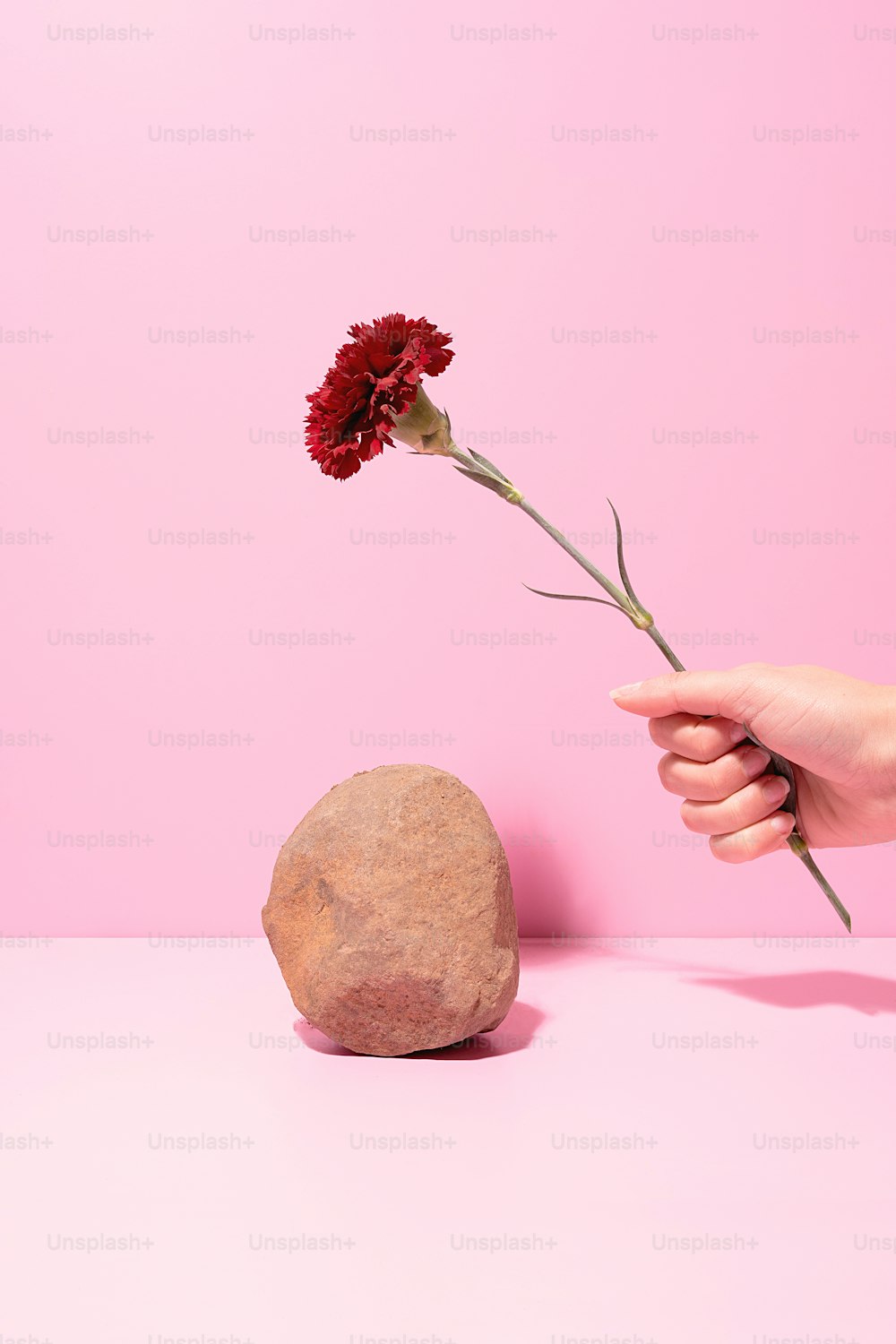 a person holding a flower in front of a rock