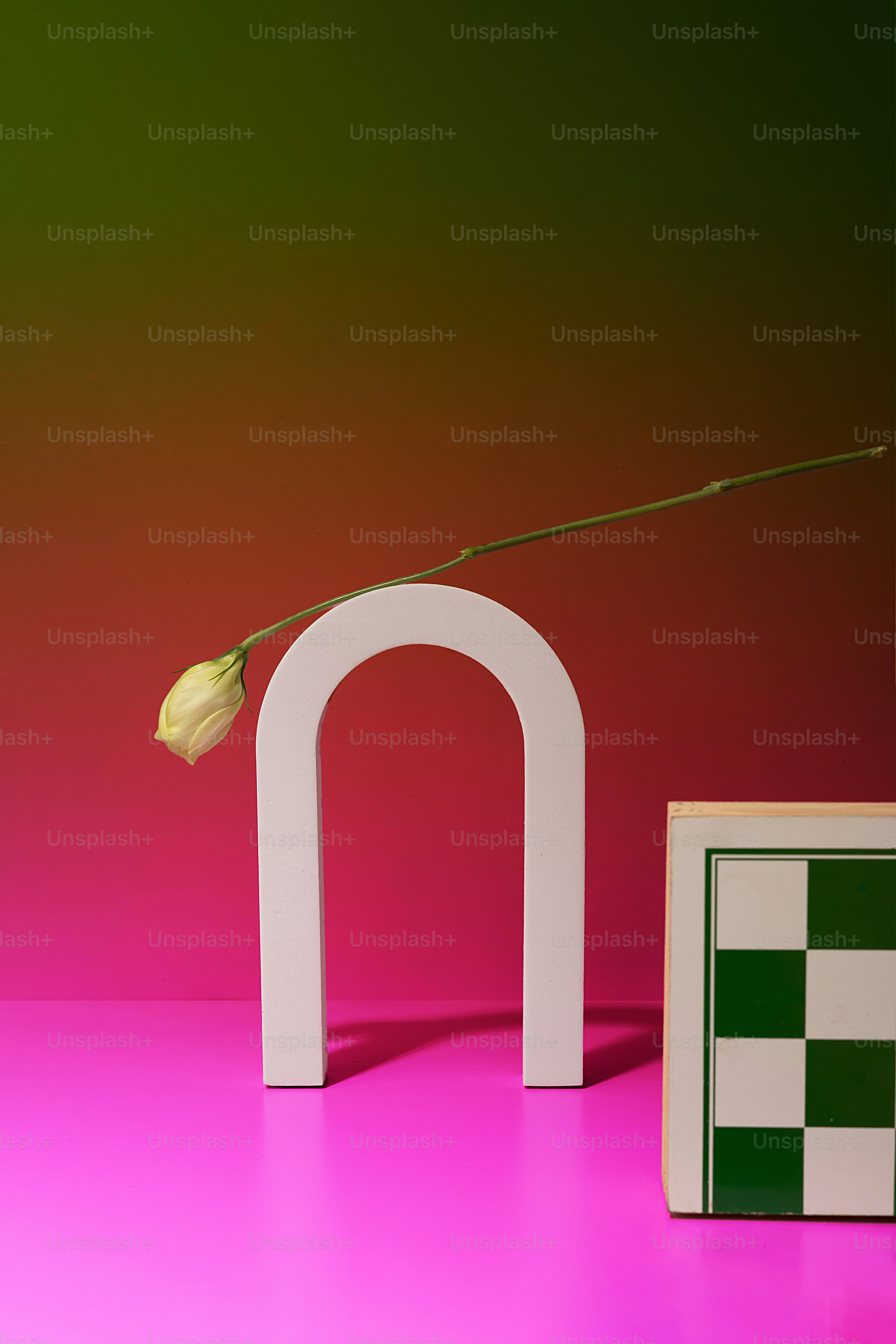 a single flower sitting on top of a table