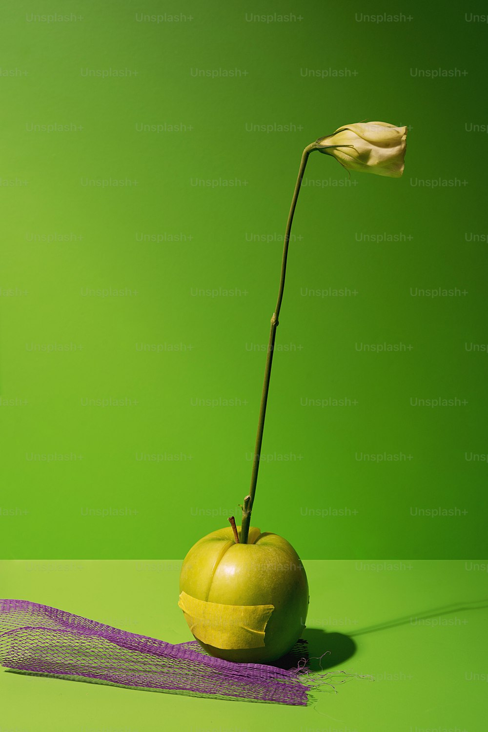 uma maçã amarela com uma flor saindo dela