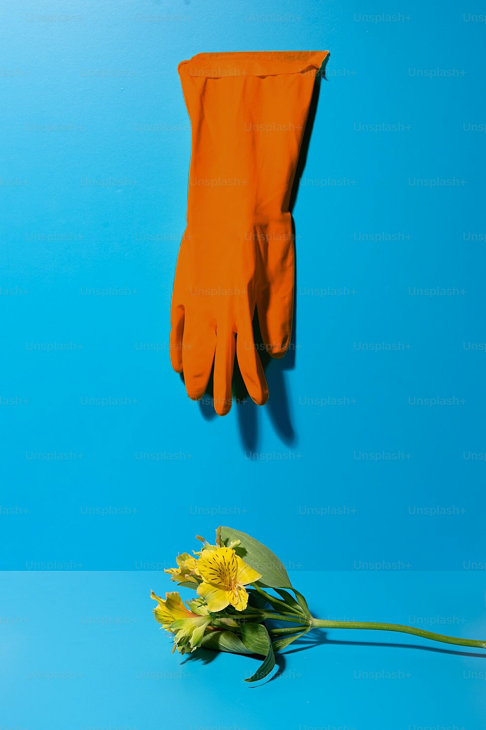 파란색 바탕에 장갑 한 켤레와 노란색 꽃