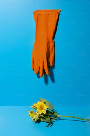 un par de guantes y una flor amarilla sobre fondo azul