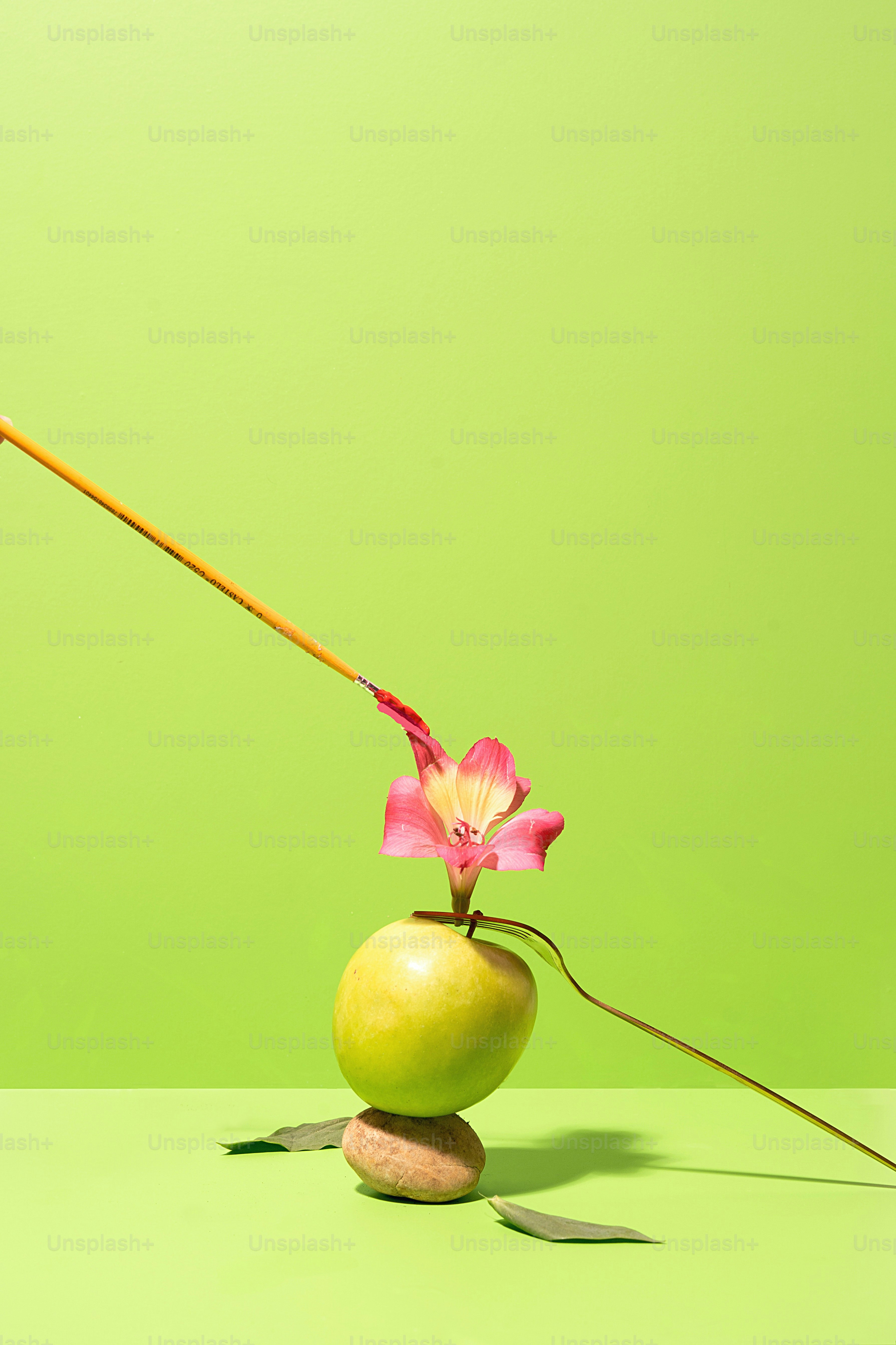 uma flor que está sentada em cima de uma rocha