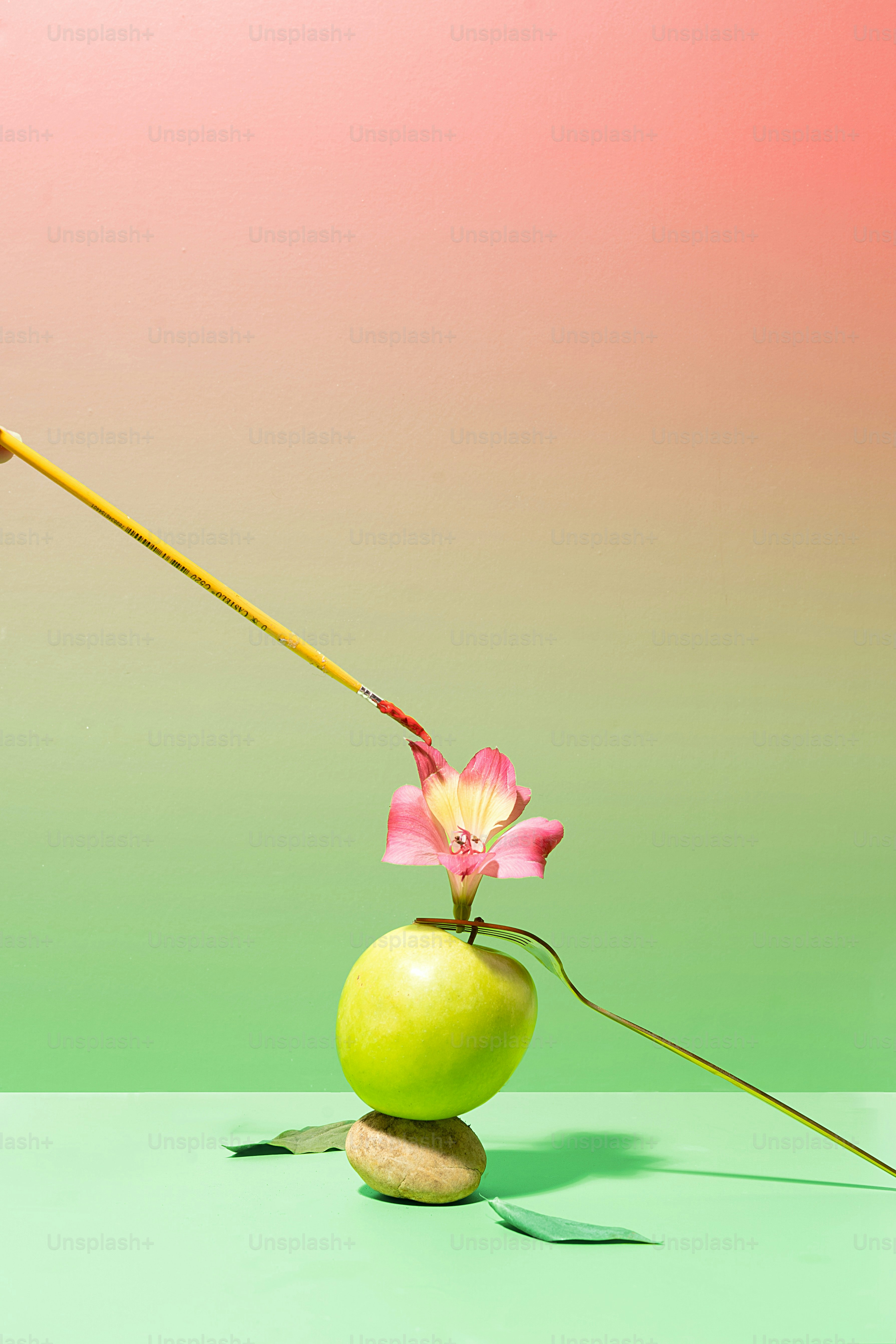 a flower that is sitting on a rock