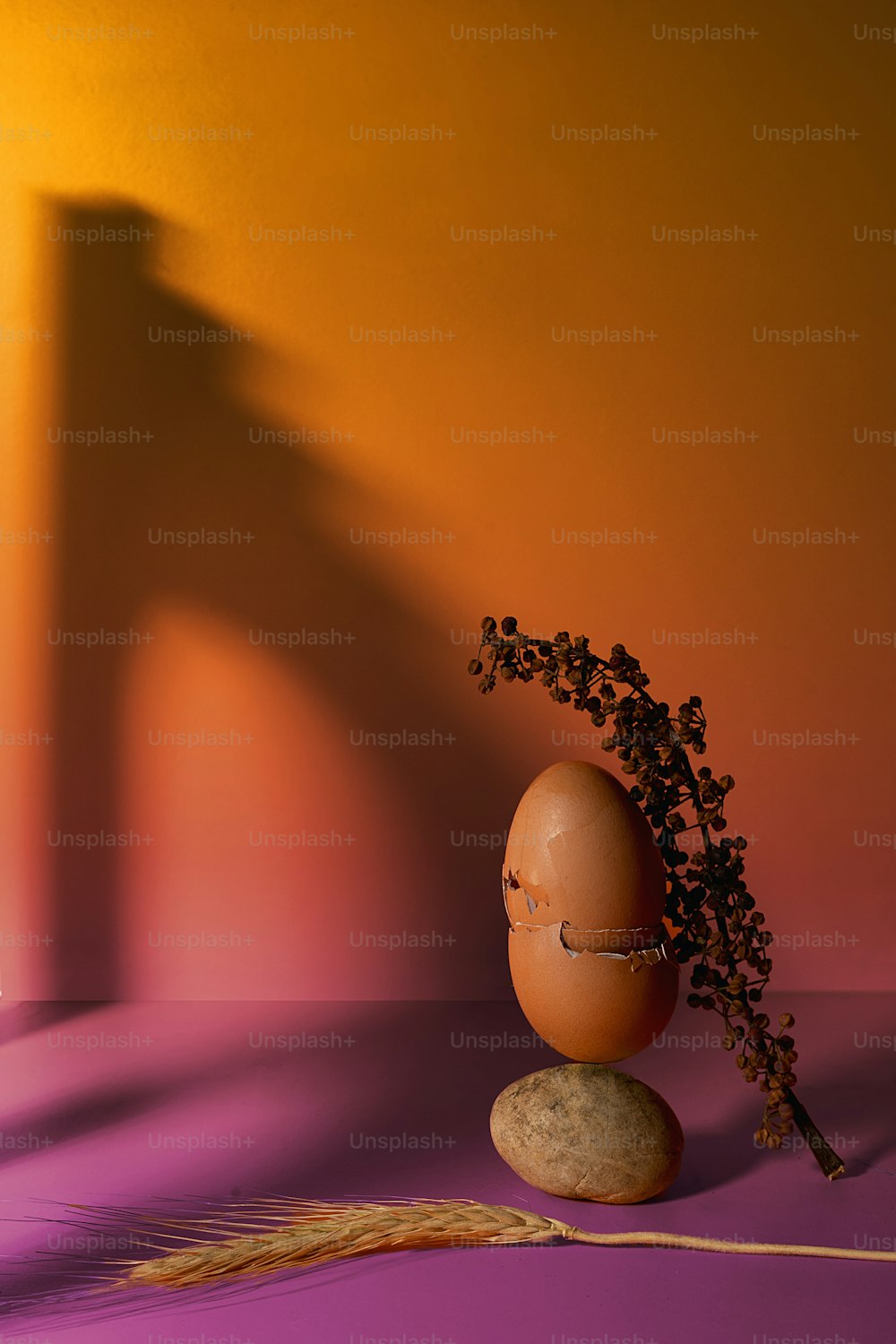 a brown egg sitting on top of a rock next to a plant