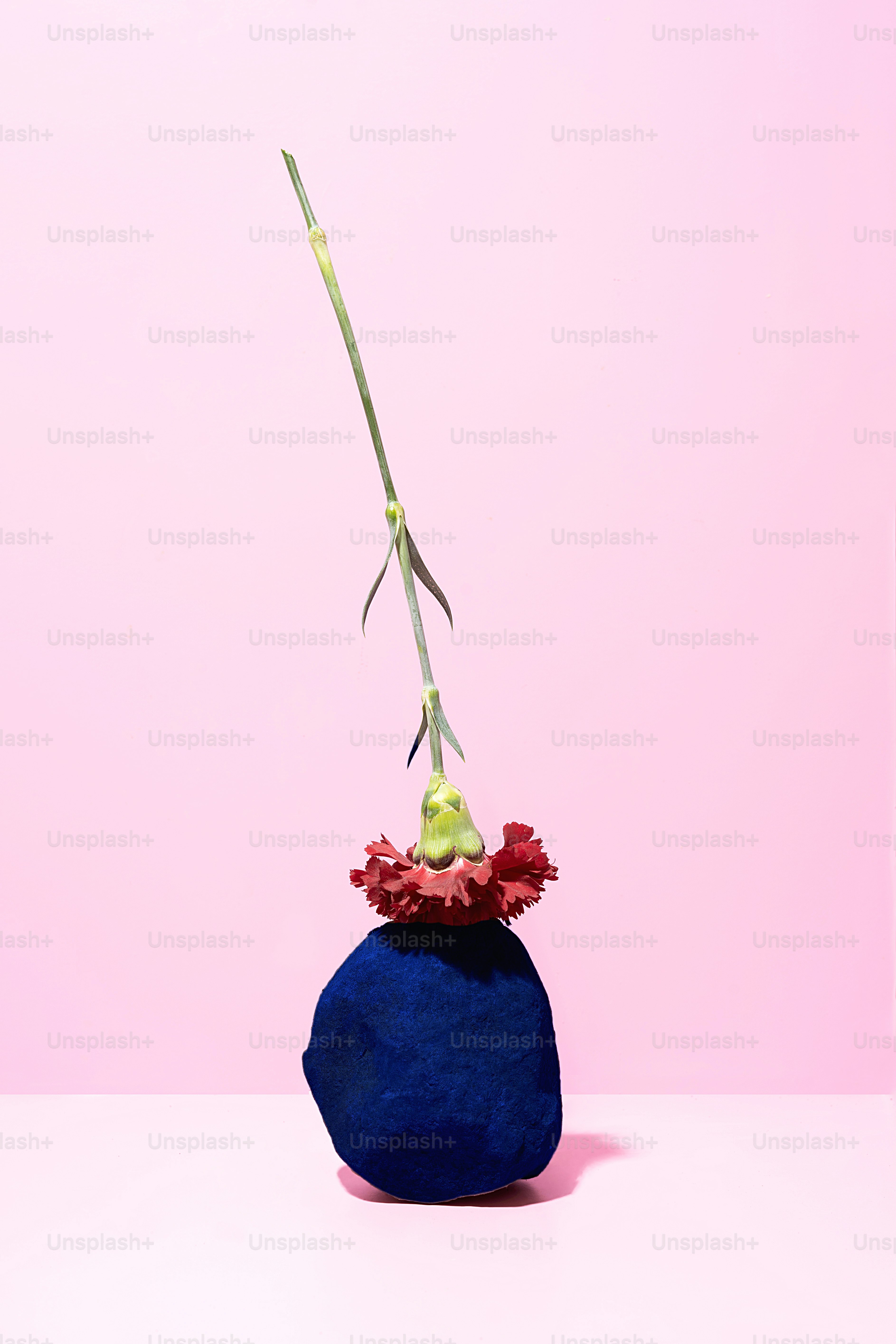 花が入った青い岩